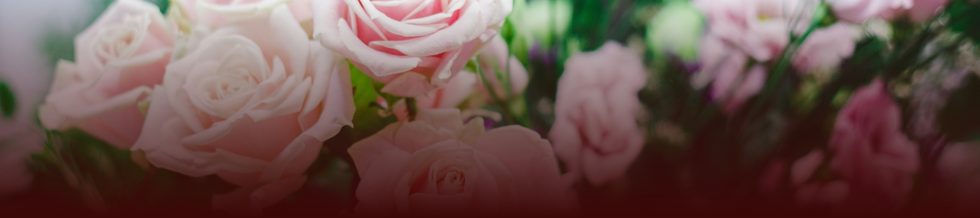 Send Flowers - Edmonton&rsquo;s Burial & Cremation Professionals | Trinity